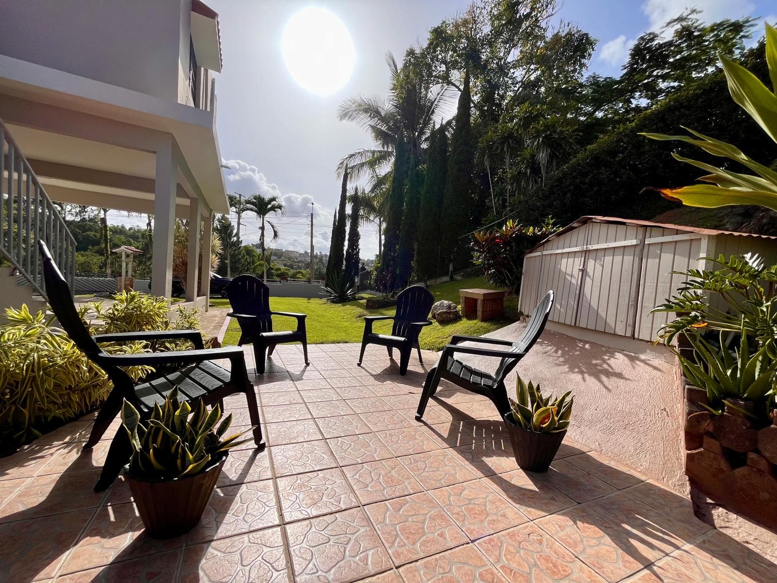 Get together surrounded by tropical palms