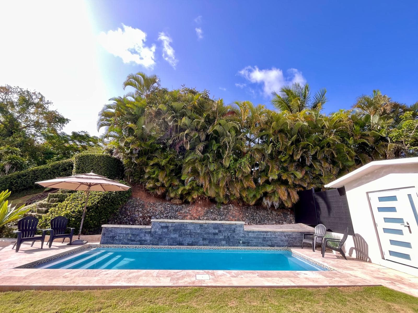 Beautiful pool with palm trees